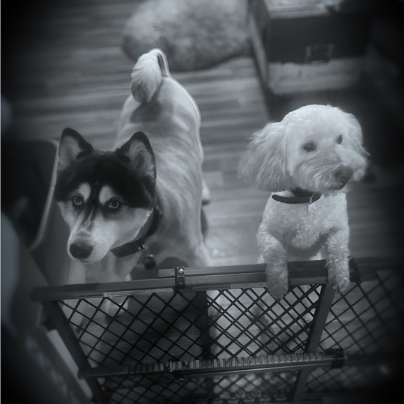 Meet your Posher, Hillary - Picture 14 of 15